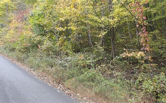 5th image of Deep Woods Trl