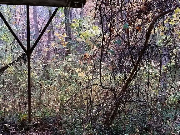 Another view from carport.