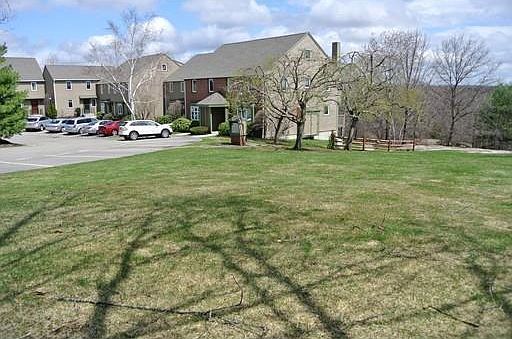 Side Yard