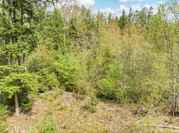 Lot 42,43,44,49 G Street, Conway, NH 03818