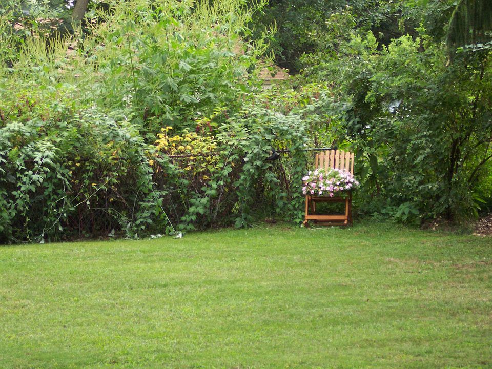 View from back door