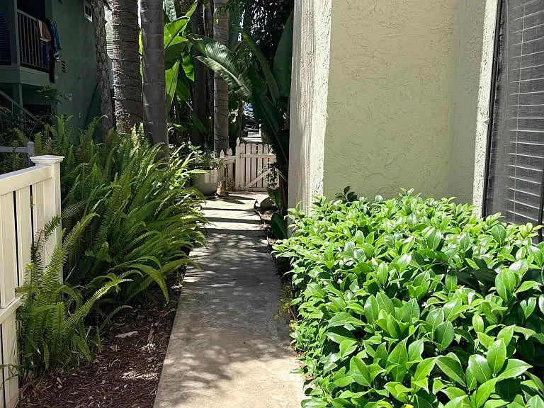 4603 Cove Dr #A — Photo 5