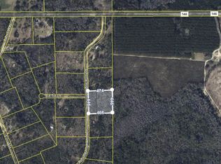 Ashville Highlands Dr, Greenville, FL 32331