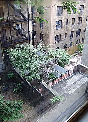 Rented by Saldo Properties | media 20