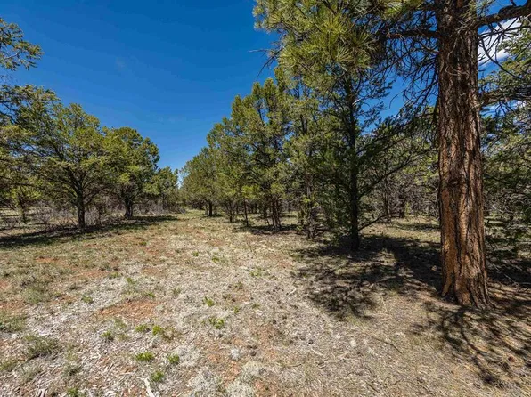 Lot 6 Waterview Court, Ridgway, CO 81432