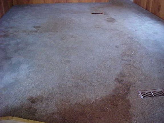 5th image of 803 E Wiconisco Ave