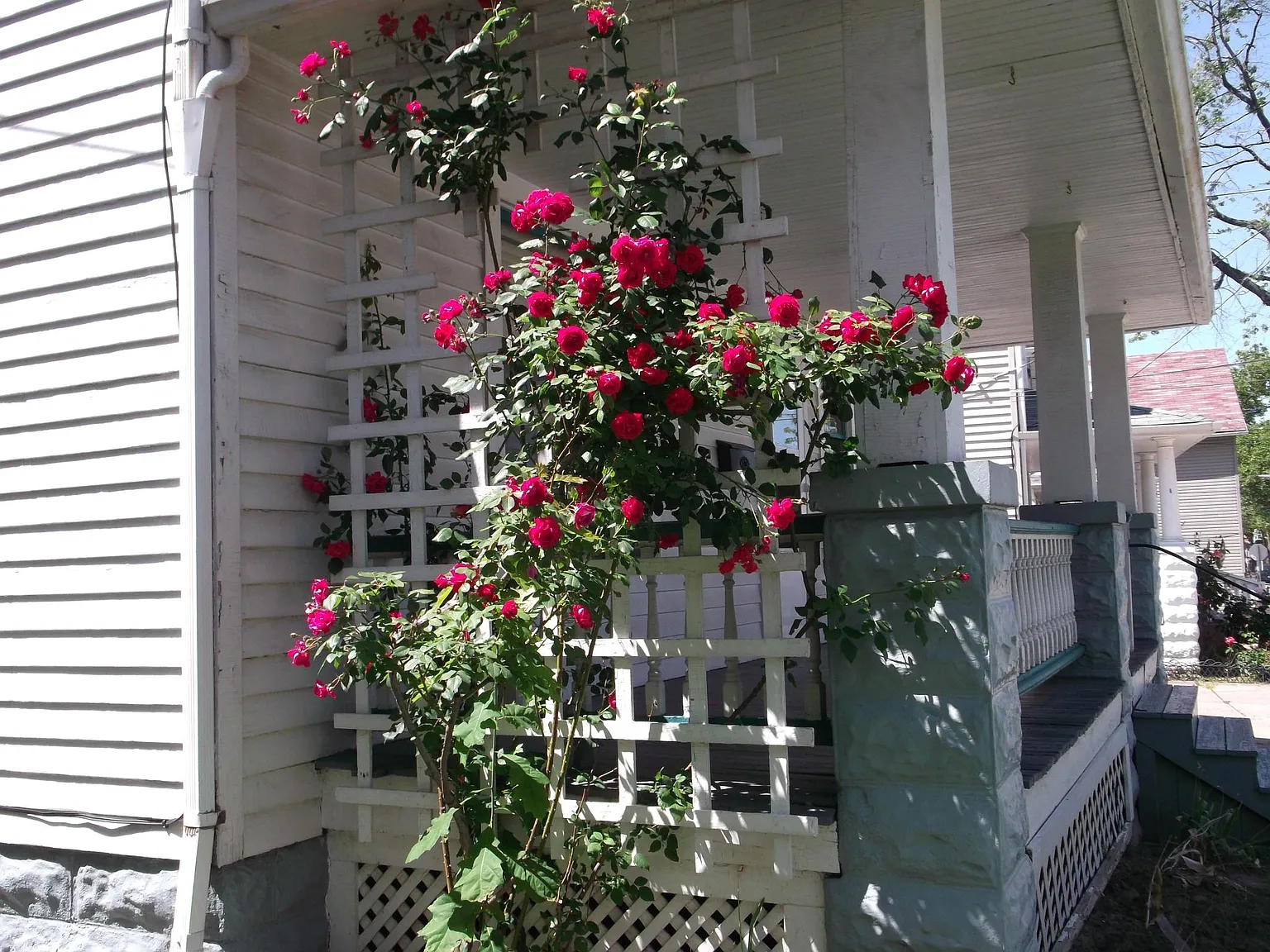 3622 W 46th St photo 1