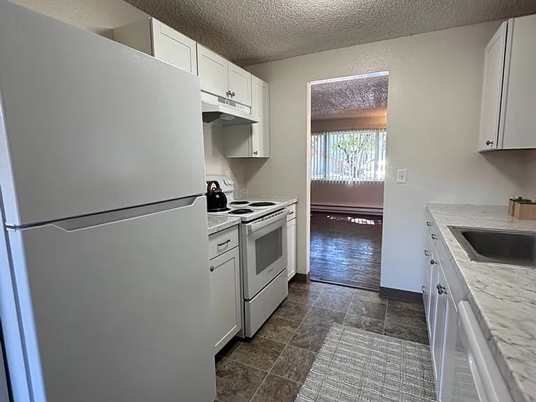 360 S Locust St #360 — Photo 6