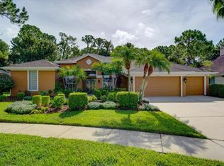 10503 Greensprings Dr, Tampa, FL 33626
