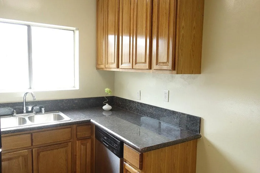 Studio, 380 sqft, $1,495 — Photo 4