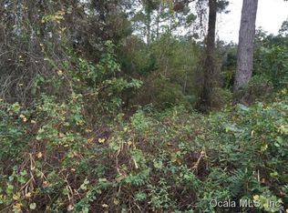 20656 SE 156th St, Umatilla, FL 32784