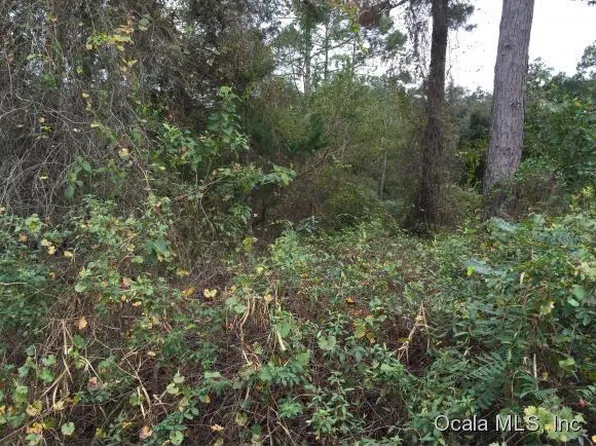 20656 SE 156th St, Umatilla, FL 32784