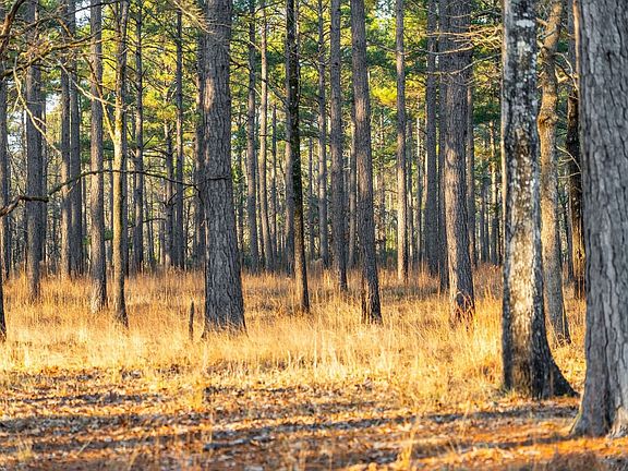 Echawcreek Keeneyemarketing 072