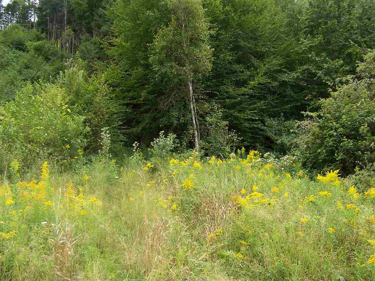 806 State Garage Road, Rochester, VT 05767 Zillow