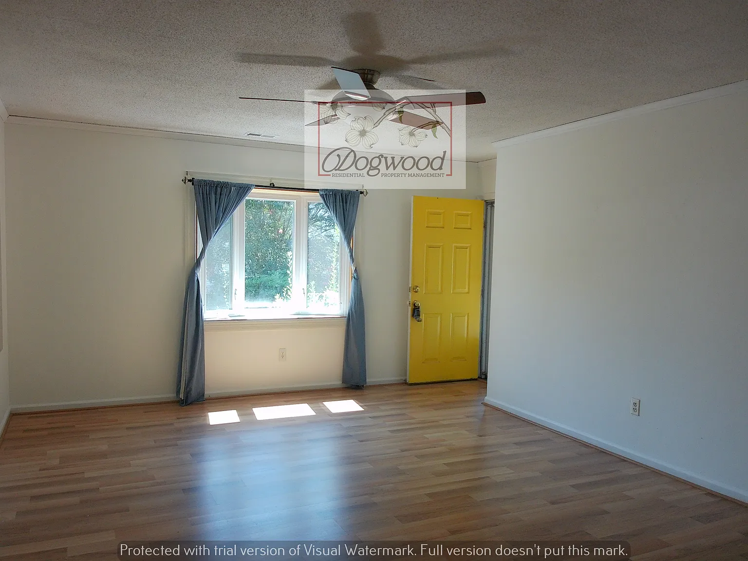 3 bed, 1.5 bath, 1016 sqft, $2,000 — Photo 3