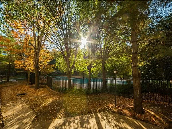 1 bed, 800 sqft, $2,000 — Photo 2