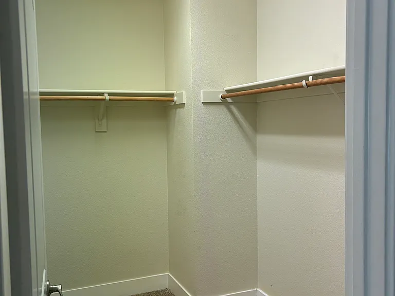 Primary bedroom closet