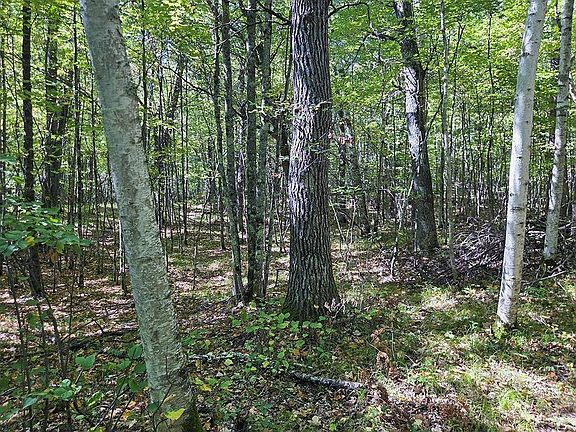 3rd image of 115 W Rapids Rd