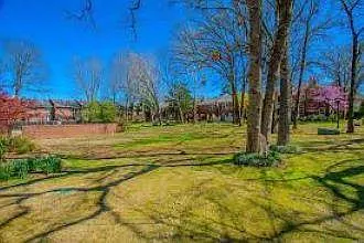 Green Space