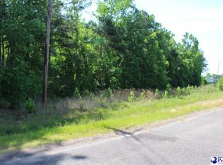 LOT Galveston Ct, Marion, SC 29571