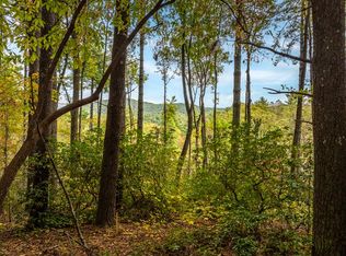 1 Chief Whitetails Rd, Ellijay, GA 30540