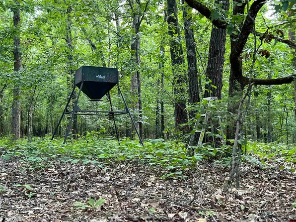 01635-01638 Sixteen Jordan Rd, Norfork, AR 72658