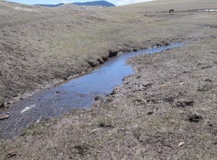 3265 Odako Trl, Hartsel, CO 80449