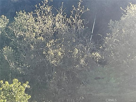 3rd image of 67034 Paulsen Rd