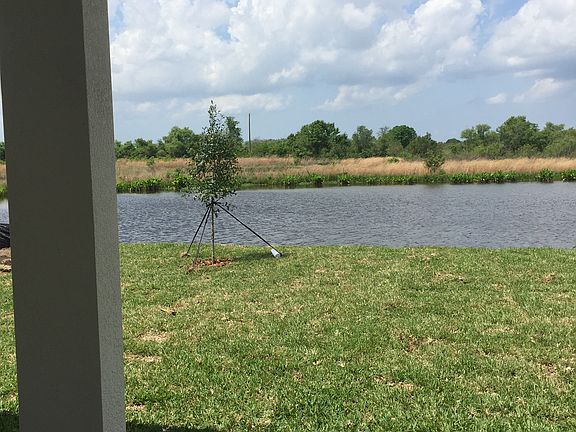 View from Living area