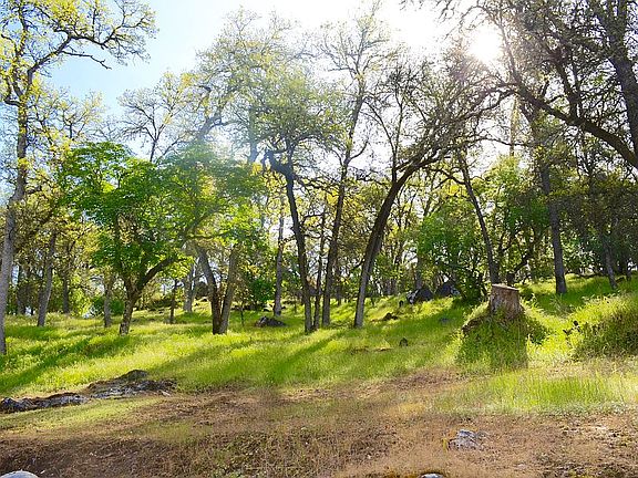 3rd image of 9136 Hidden Valley Rd