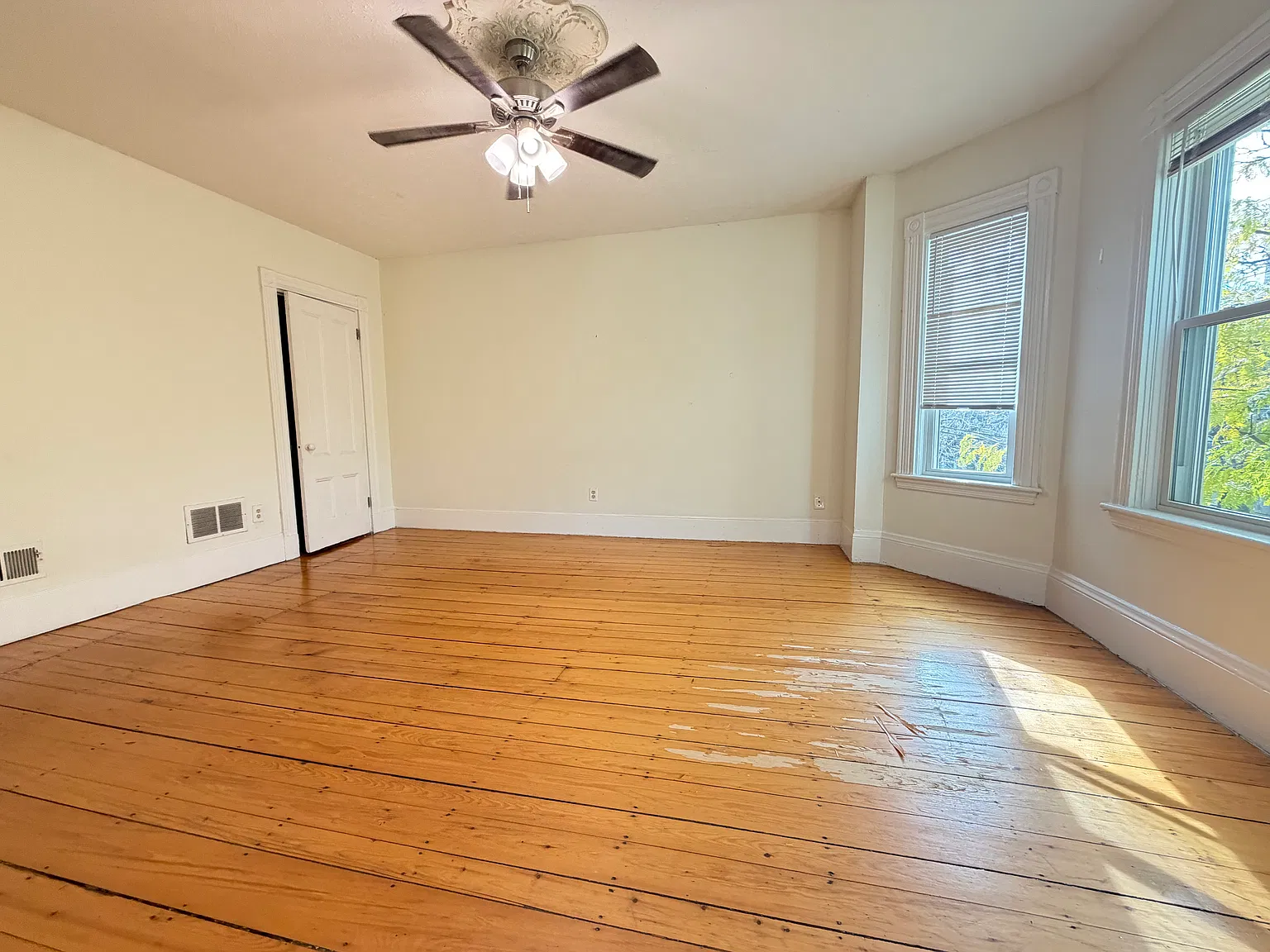 258 Cypress St — Photo 4