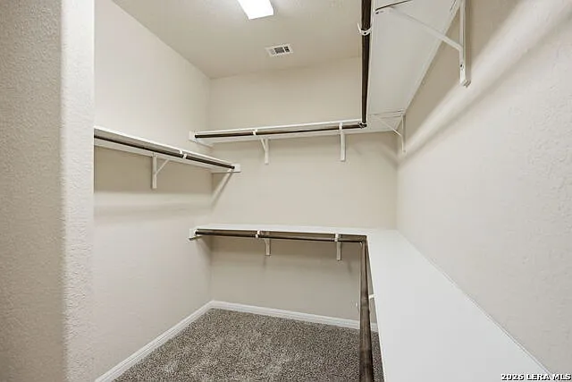309 Albarella — Photo 31
