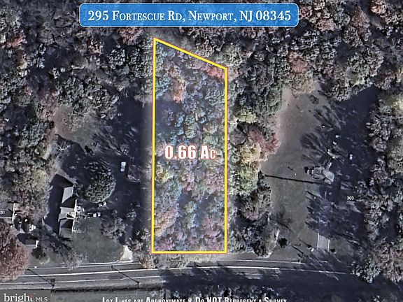 2nd image of 295 Fortescue Rd
