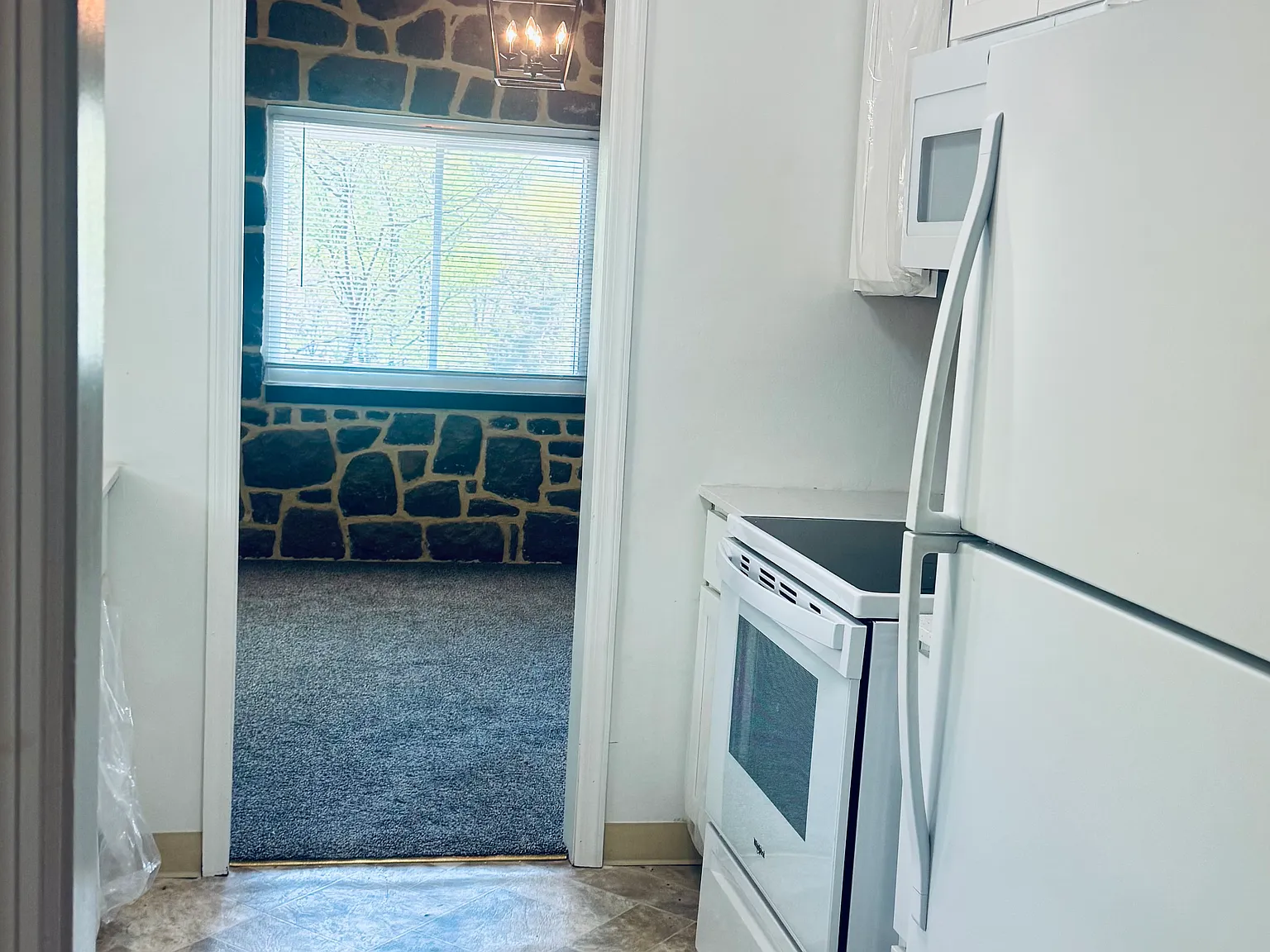 889 Rhue Haus Ln — Photo 4