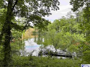 485 Rainey Rd, Chesterfield, SC 29709