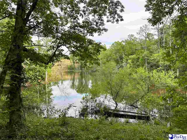 485 Rainey Rd, Chesterfield, SC 29709