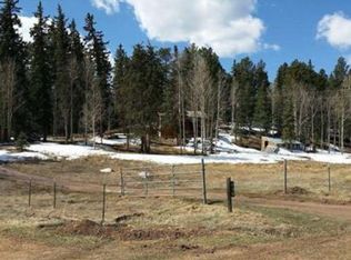 236 Valley Rd, Florissant, CO 80816