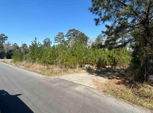 Juniper Pl LOT C, Georgetown, SC 29440