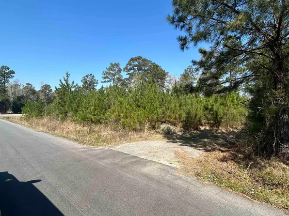 TBD Juniper Pl. Lot C, Georgetown, SC 29440