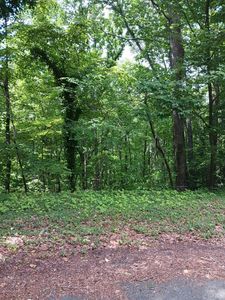 0 Knollwood Dr, Hurt, VA, 24563