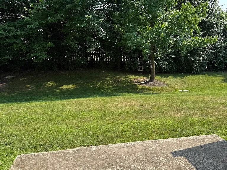 patio view