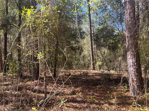 Martha Dr #1, Interlachen, FL 32148