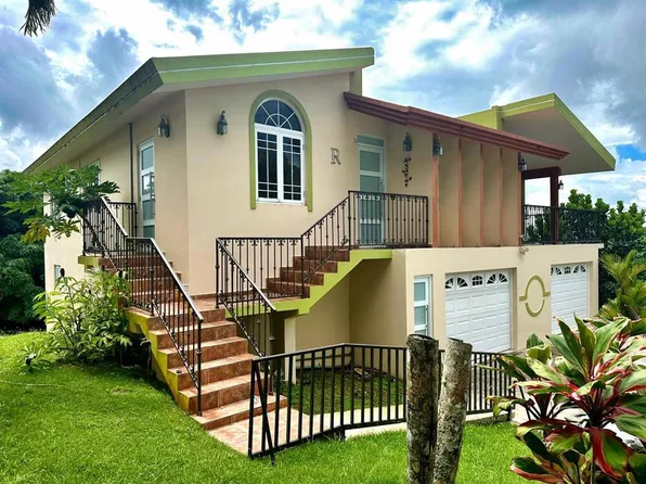 Calle Domingo Lopez Calle Doming Lopez, Cayey, PR 00736