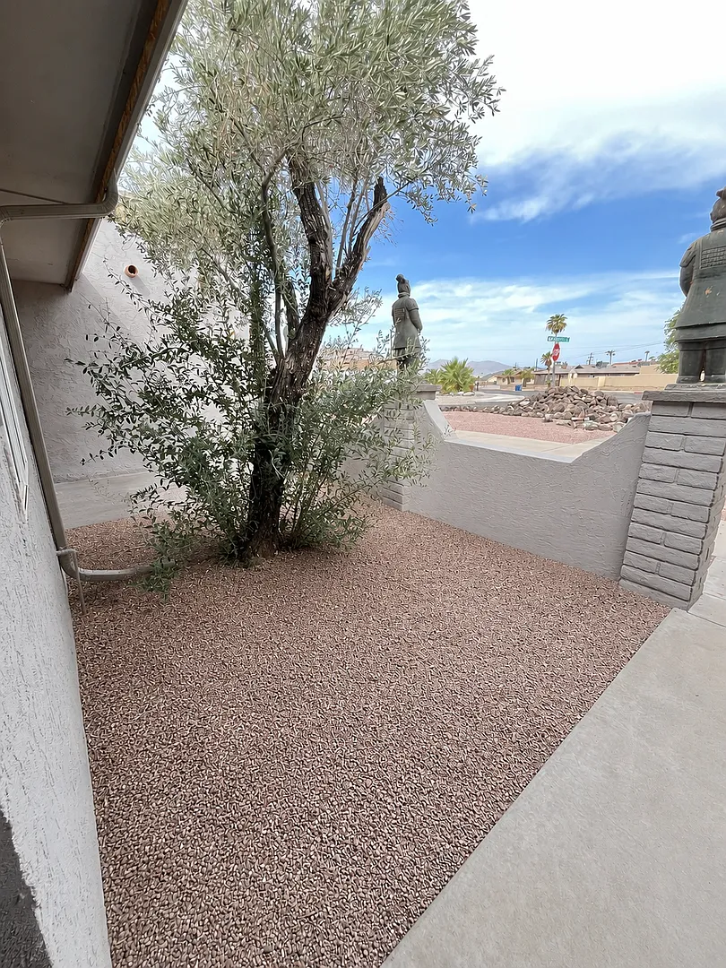 M90 — Photo 2