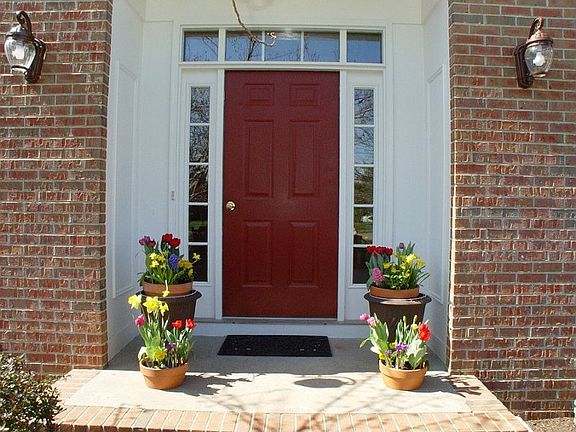 Front Door and Steps