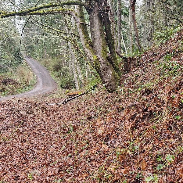 4th image of 0 Old Military Road NE