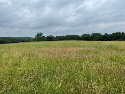 State Highway 21, Berryville, AR, 72616