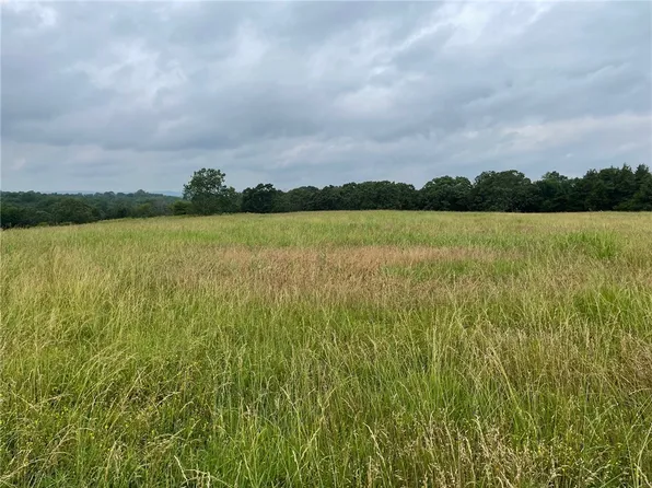 State Highway 21, Berryville, AR 72616