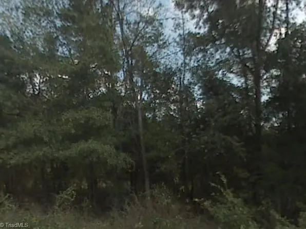 0 Royster Woods Trl, Burlington, NC 27217