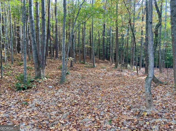 0 Lone Bear Path, Dallas, GA 30132